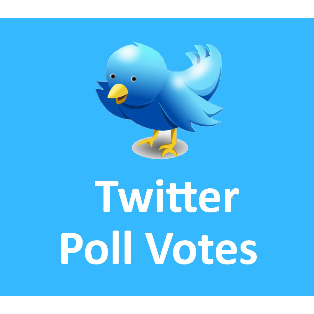 1000 Twitter Poll Votes kaufen